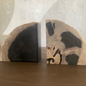 West Elm Petrified Wood Book Ends